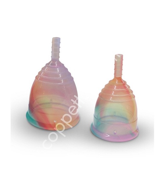 Yuuki DUO Rainbow Jolly with Infuser box Small + Large