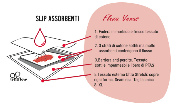 slip assorbente senza cuciture taglia unica